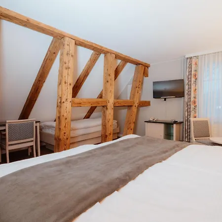 Hotel Parkhotel Schwert 3*